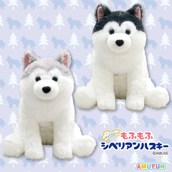 シベリアンハスキー　特大ぬいぐるみ くったりもふもふシベリアンハスキーウルトラBIG｜タイトーの12月の