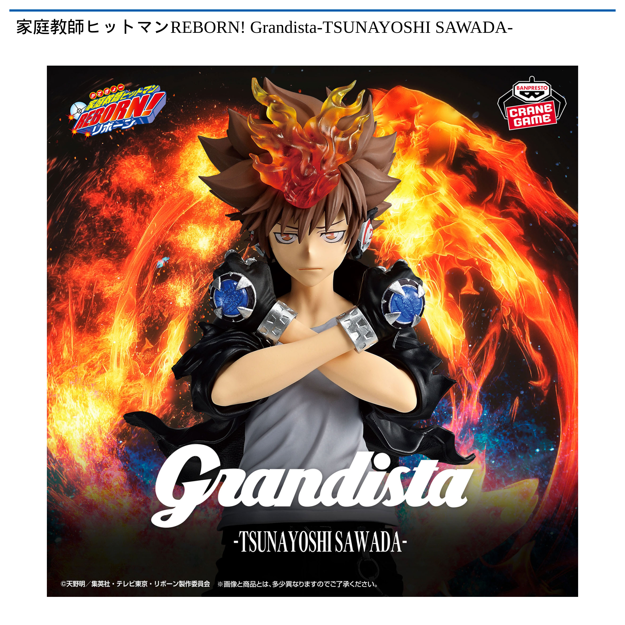 家庭教師ヒットマンREBORN! Grandista-TSUNAYOSHI SAWADA-｜タイトーの