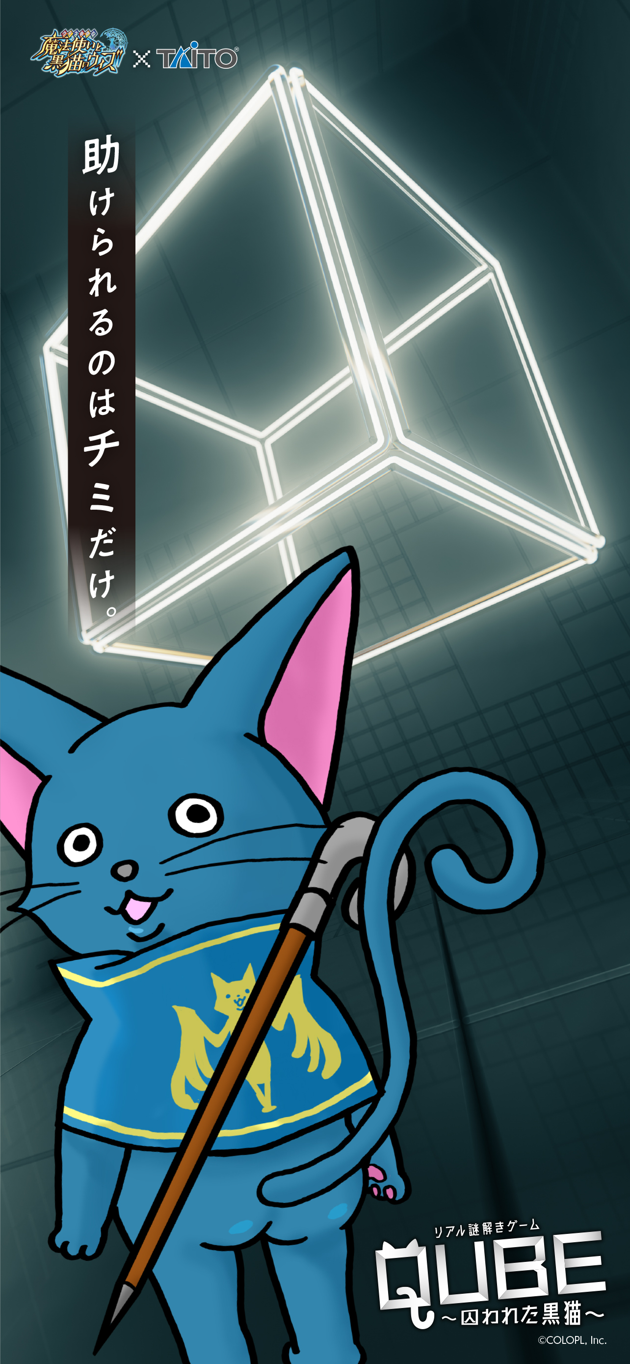 おめでとう 見事謎を解き明かした 嘘猫謎 黒ウィズタイトーステーション22 株式会社タイトー おめでとう 見事謎を解き明かした 嘘猫謎 黒ウィズタイトーステーション22 株式会社タイトー