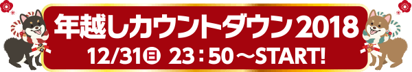 年越しカウントダウン2018