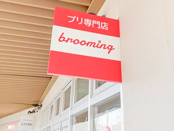 brooming