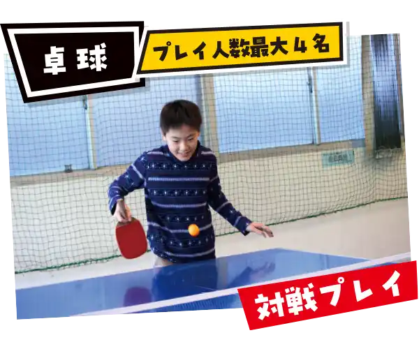 卓球