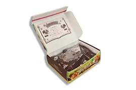 ロッテパイの実ミニチュアキーホルダー