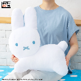 タイトーくじ ブルーナアニマル Dot Pattern Collection｜商品詳細