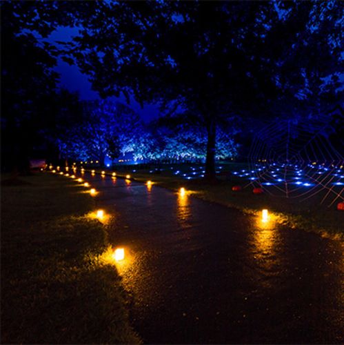 「やくらいガーデン ライトアップ」の画像検索結果